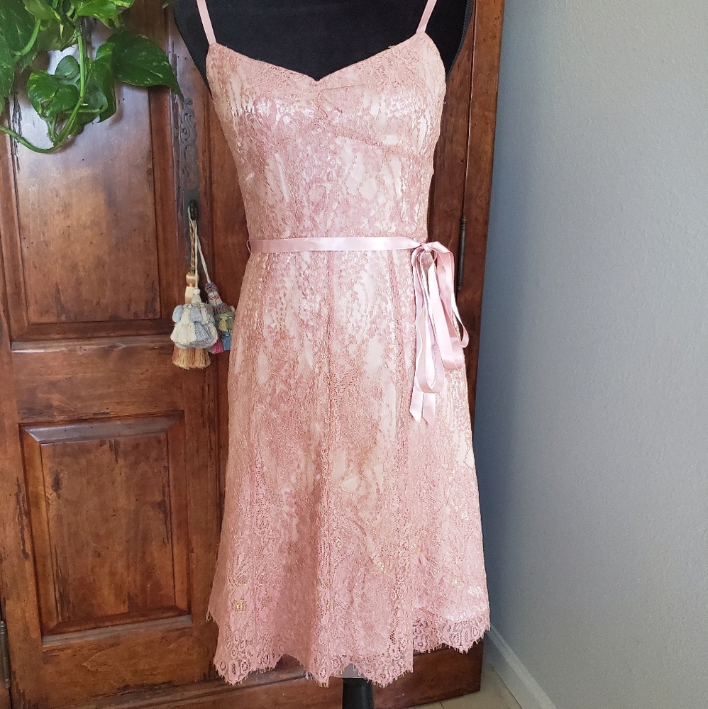 Ann Taylor Lace dress